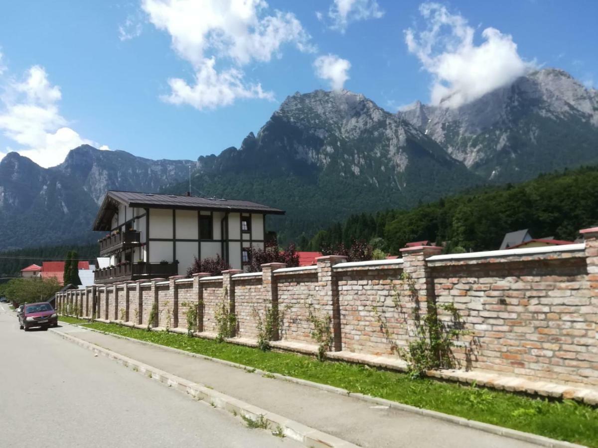 Vila Norbe Buşteni Exteriér fotografie